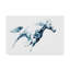 «Sapphire Gallop I» par Julie T. Chapman - reproduction d'art sur toile-685191348