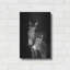«Jelly Bean2» par Susan Friedman-1636681875