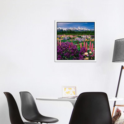 Iris & Lupine Field, Grand Teton National Park, Teton County, Wyoming, Usa by Adam Jones - Print on Canvas