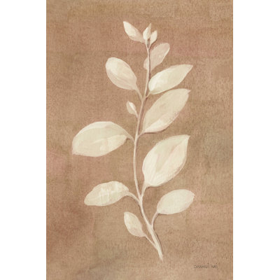 «Sage Leaves II Terracotta» par Danhui Nai, reproduction sur toile tendue