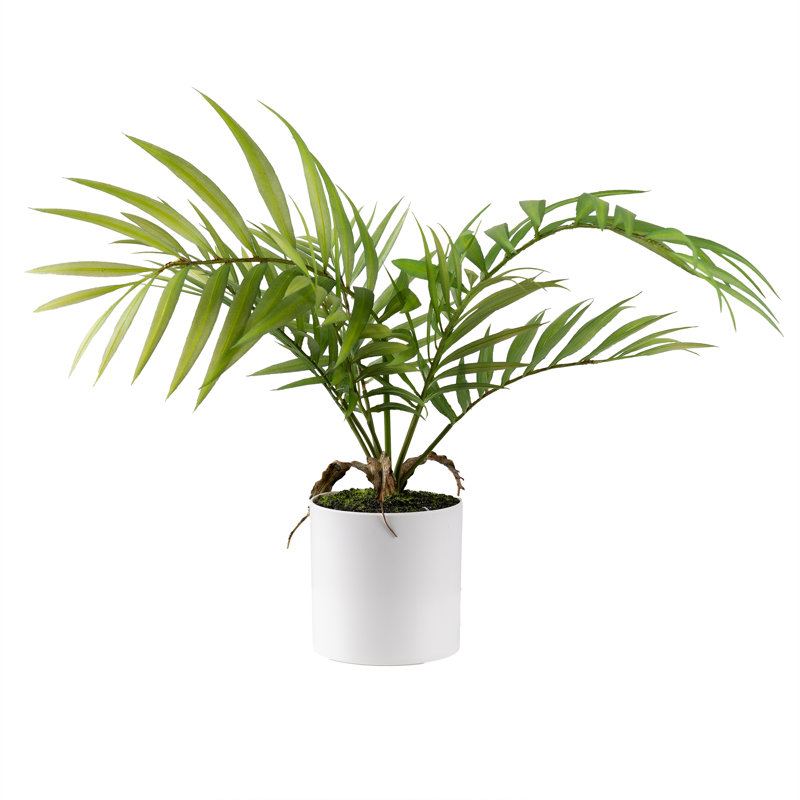 40cm Faux Fern Tree in White Plastic Pot