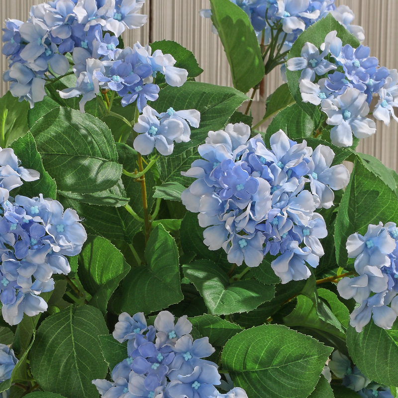 Hortensia suspendu 27 "UV, Bleu