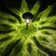 Brown Solar Powered Integrated LED Metal Pathway Light Pack