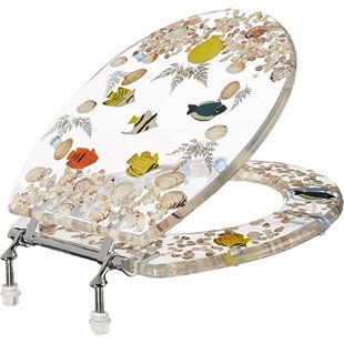 Round Toilet Seat and Lid