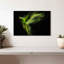 Perruche Brampt Alexandrine-107833817