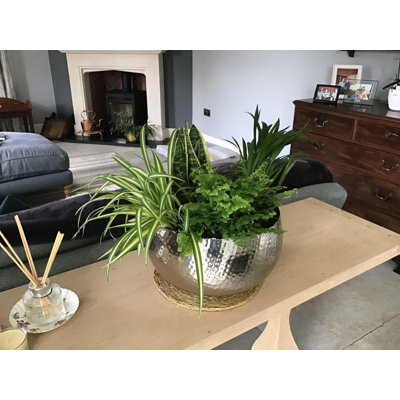 Steen Handmade Metal Cachepot