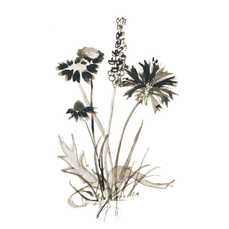 Sepia Botanicals - Painting Print, 76cm H x 51cm W, Black Floater Framed