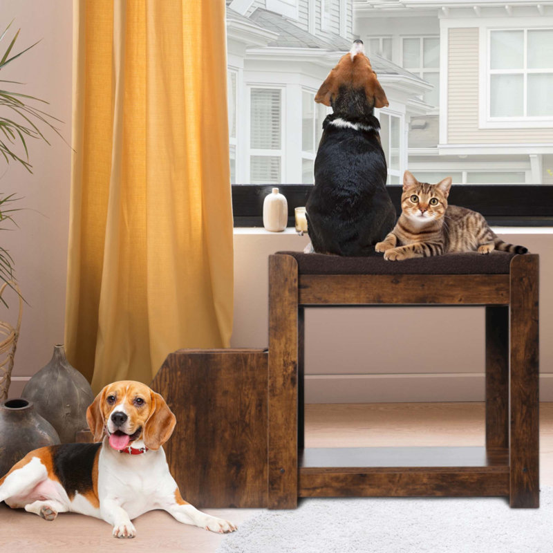 Lit superposé pour animaux avec marche amovible pour chiens et chats