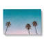 Palm Trees In Sydney Australia In Abstract - Wrapped Canvas-55337726