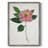 PressedCamelliaI Framed Print - Solid Wood-1925931423