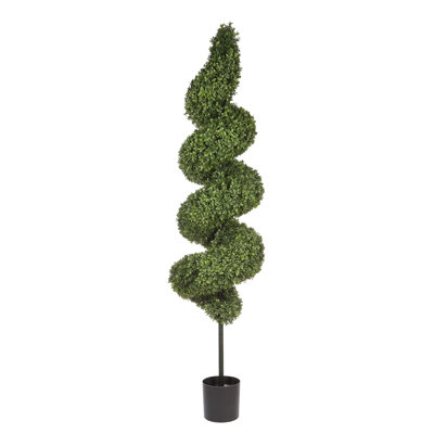 Boxwood Topiary
