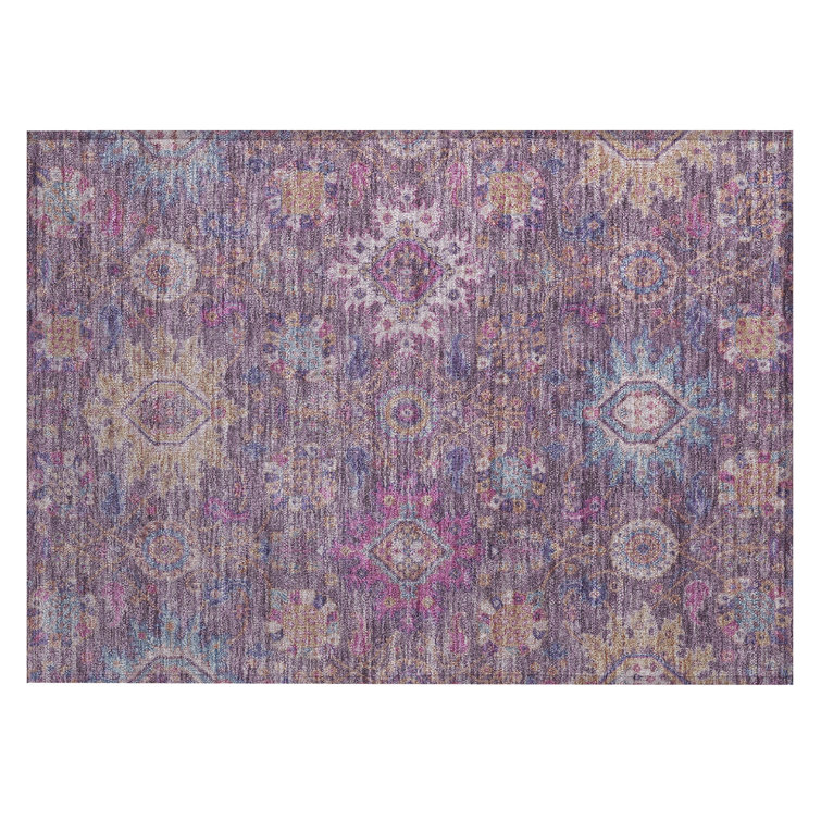 Machine Washable Indoor/Outdoor Jacinto ACN2151 Medallions Rug