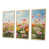 Cadre naturel flottant