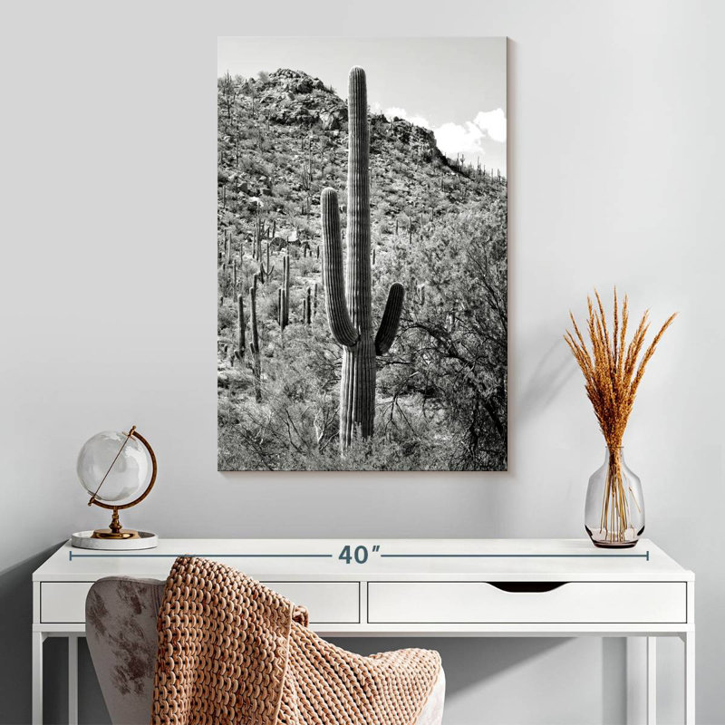 Harnek Black Arizona - Cactus Hill I, 30" H x 20" W