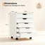 48 cm W 5 -Drawer Wheels / Casters included Mobile Filing Cabinet-1343905473