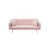 Pink Teddy selected