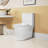 Elongated Ceramic Toilet, 1.1/1.6 , Comfort Height, White, & , Firmly Close Seat T039wt One Soft Lid