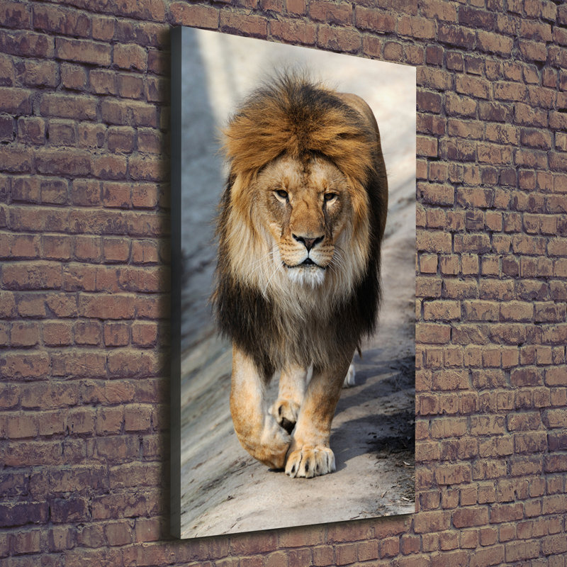 Lion - Wrapped Canvas Print