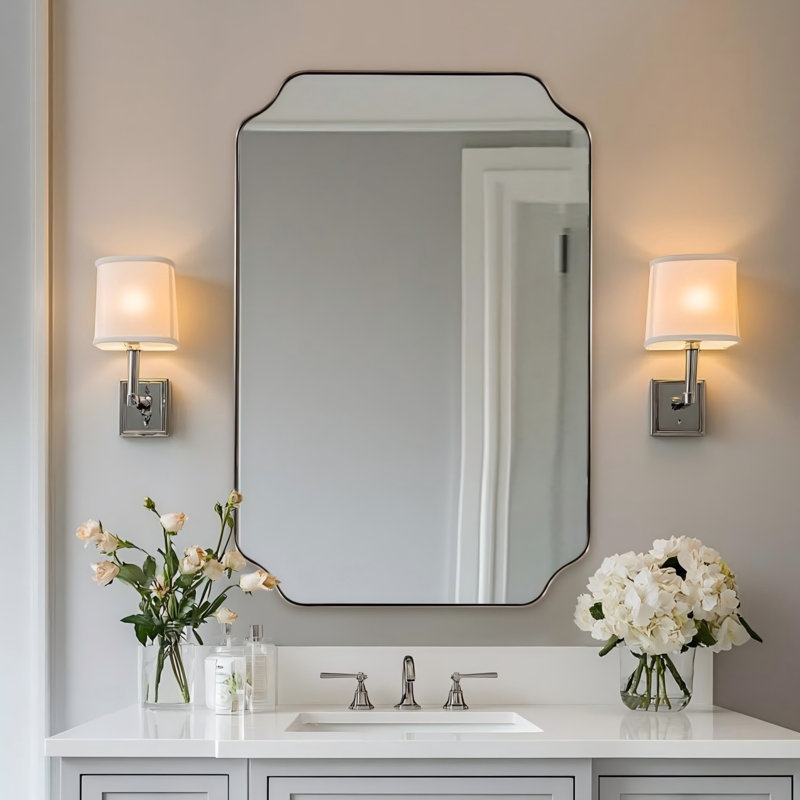 Miroir de salle de bain Modern Cadre en acier inoxydable, Nickel brossé, 30 po x 20 po