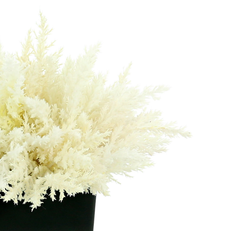 Pampas & Magnolia Leaf in Glass Pot with Rock, 13" H x 16" W x 16" D, Black/White