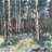 Birches - 32"x32" art on canvas