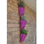LosPalmos Wall Planter-13637869