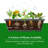 Goodyear Vertical Garden