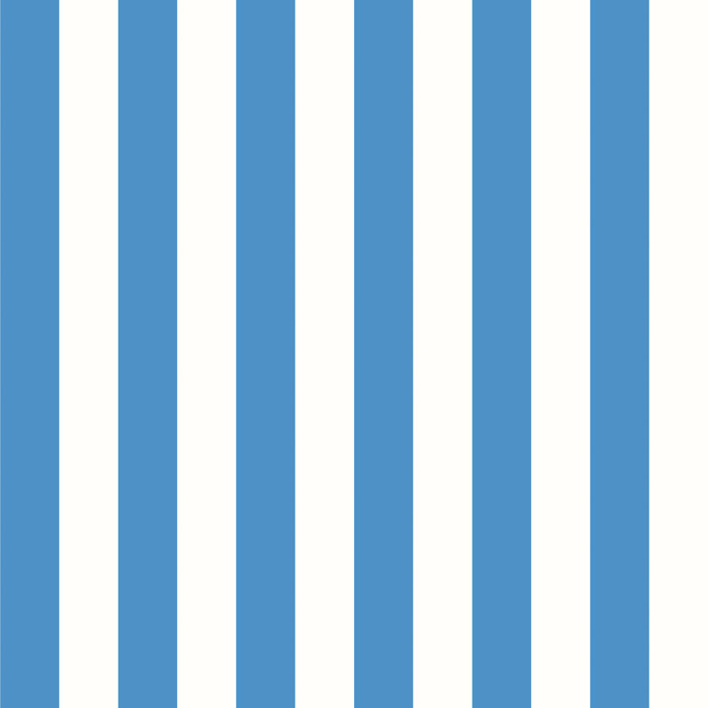 Classic Stripe - Blue & White