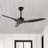 Artisha 50'' Ceiling Fan-684973092