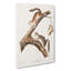 Downy Squirrels by Louis Renard - Wrapped Canvas-55342597