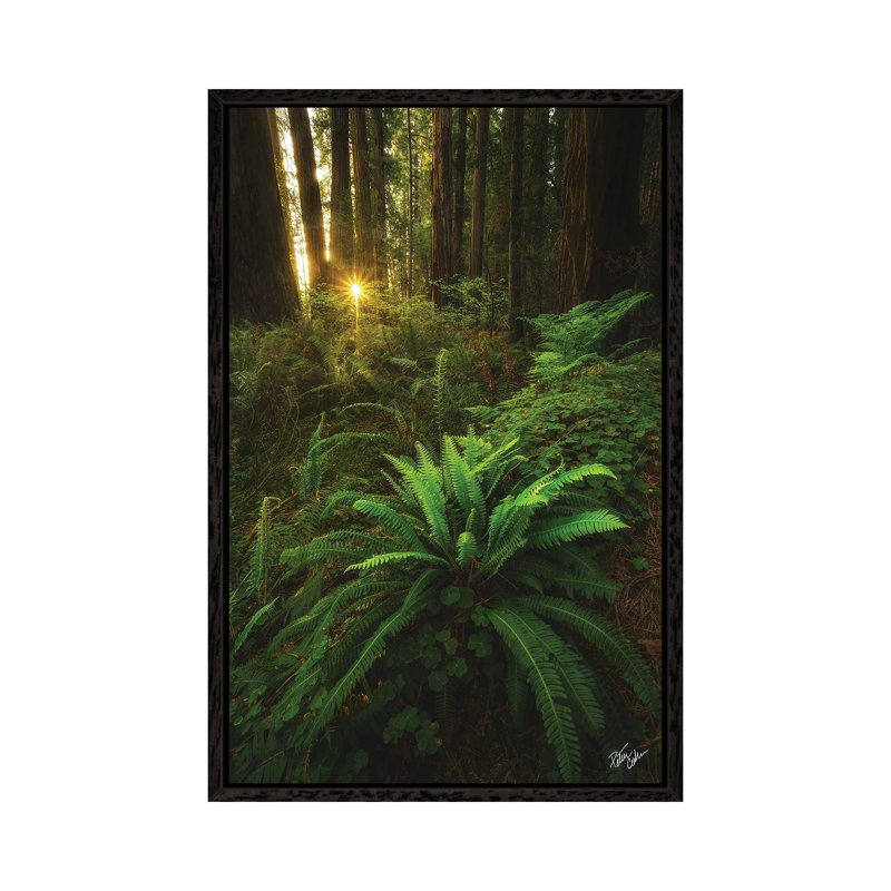Peeking by Peter Coskun - Floater Frame Gallery-Wrapped Canvas Giclée on Canvas, Black Framed Canvas, 101.6 cm H x 66.04 cm W