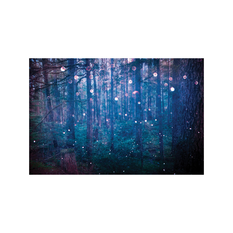 Nature Magick - Wrapped Canvas Print, 101.6 cm H x 66.04 cm W x 1.91 cm D