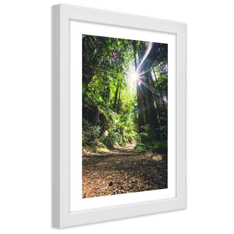 Jungle Forest Nature Green - Single Picture Frame Print, 90cm H x 60cm W, White