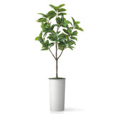 Artificial Tree in Modern Minimalist White Textured Planter Fake Magnolia Tree