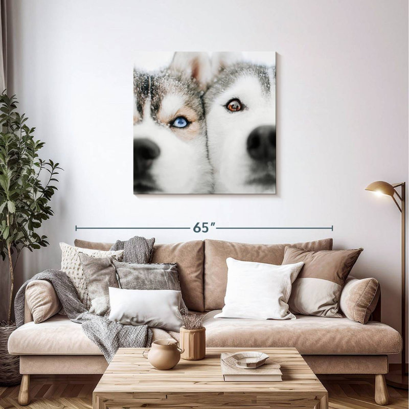 Crowle Husky Faces, 36" H x 36" W