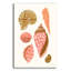 «My Tropical Shell Collection 1» par Yvette St. Amant, art mural en verre acrylique-829773597