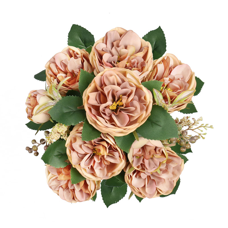 Chou rose, Tasse à café