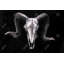 Ram Skull Grunge Style Grey Livingroom Canvas | Home Decor