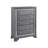 Contemporary Style Chest