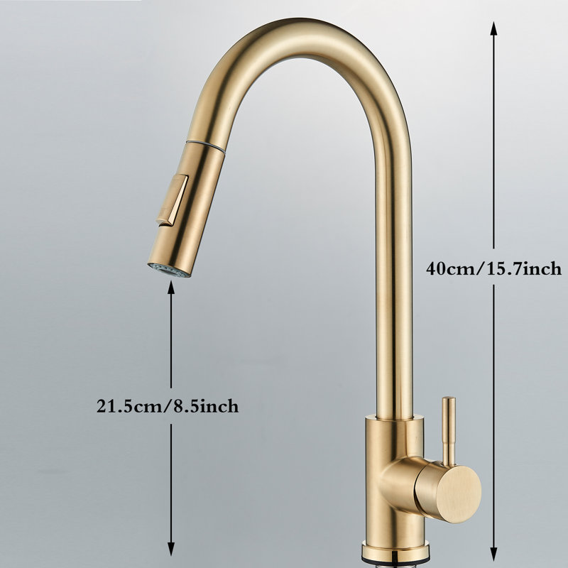 Belfry Kitchen Serita Pull Out Kitchen Faucet