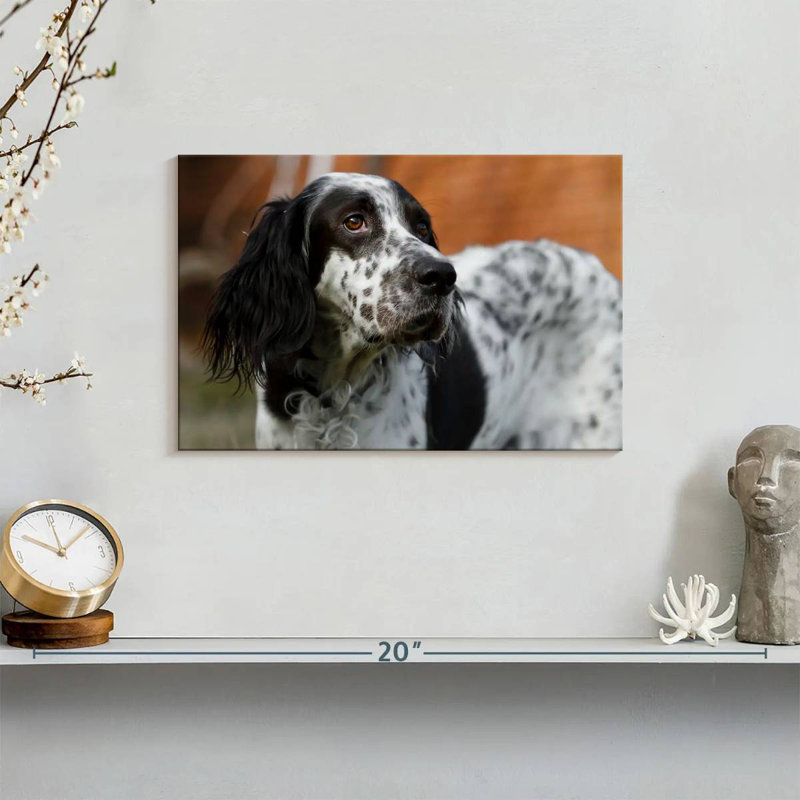 Crowle Spotted English Setter, 8" H x 12" W