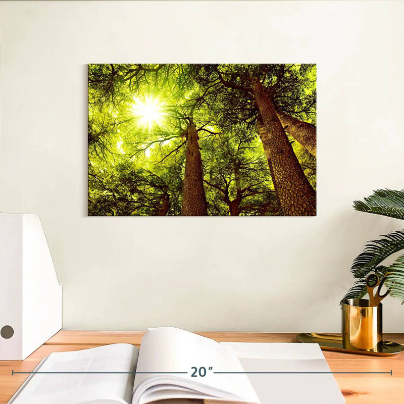 Harnek Sunlit Cedar Forest, 8" H x 12" W