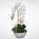 Silk Phalaenopsis and Succulents Orchid Floral Arrangement