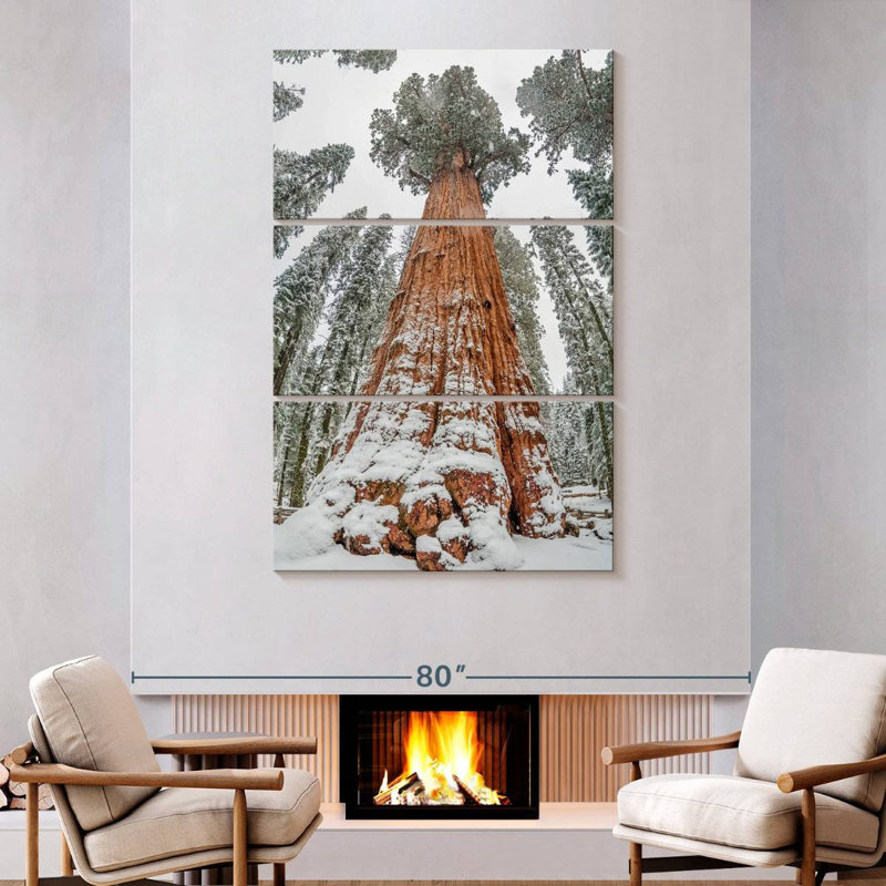 Harnek Wintry Sequoia Tree, 57'' H x 36'' W
