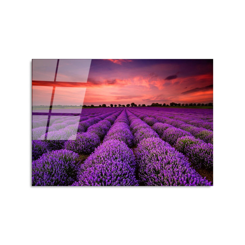 Boze Wall Decor