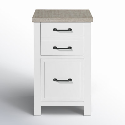 Gabby 18'' Wide 2 -Drawer File Cabinet