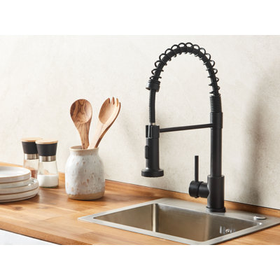 Belfry Kitchen Kitchen Faucet