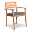 Universal Dining Arm Chair Cushion-27417842