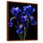 Brown Floater Framed