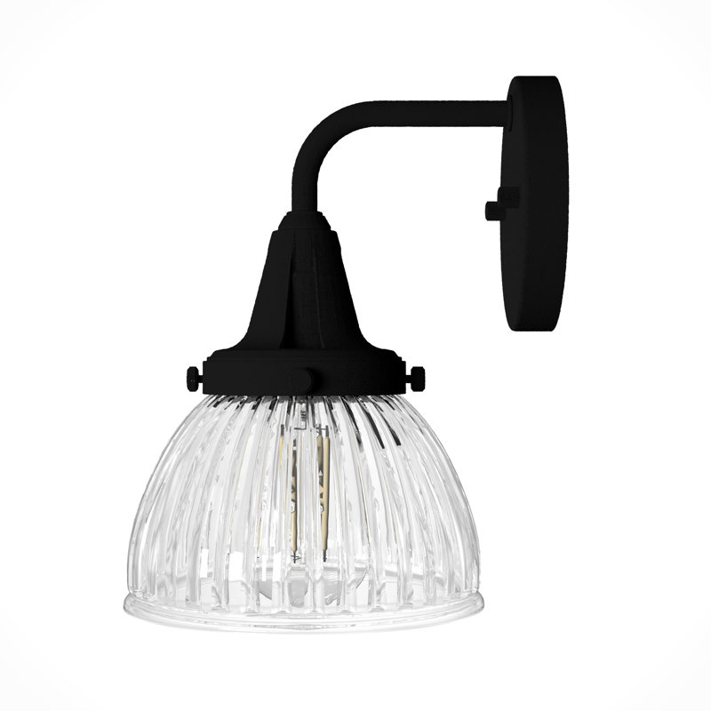 Hunter Cypress Grove 1 Light Sconce Wall Light Fixture, Onyx Bengal